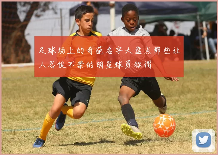 足球场上的奇葩名字大盘点那些让人忍俊不禁的明星球员称谓