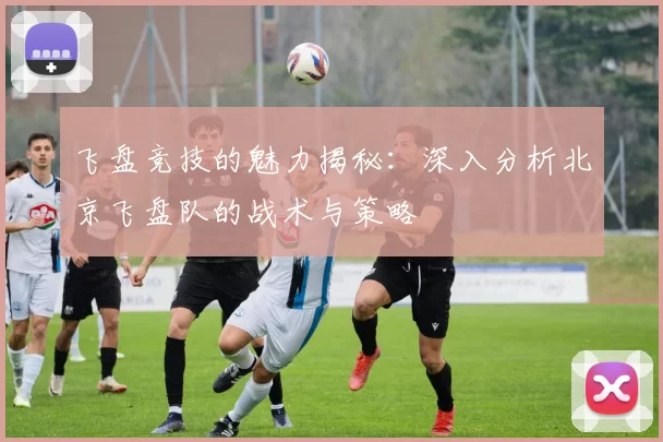 飞盘竞技的魅力揭秘：深入分析北京飞盘队的战术与策略