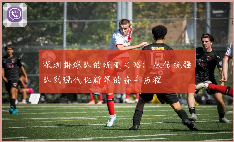深圳排球队的蜕变之路：从传统强队到现代化新军的奋斗历程