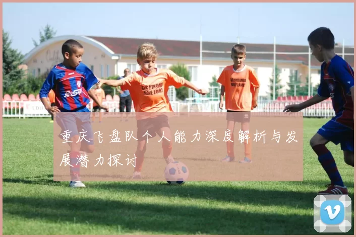 重庆飞盘队个人能力深度解析与发展潜力探讨