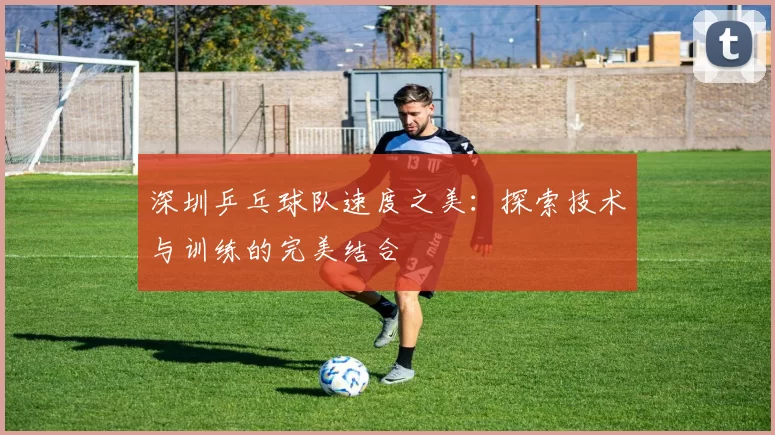 深圳乒乓球队速度之美：探索技术与训练的完美结合