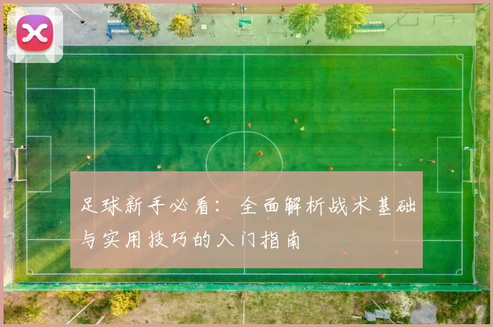 足球新手必看：全面解析战术基础与实用技巧的入门指南