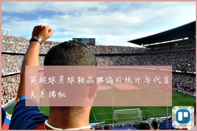 英超球员球鞋品牌偏好统计与代言关系揭秘