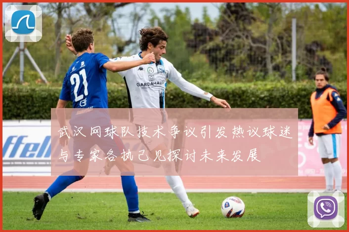 武汉网球队技术争议引发热议球迷与专家各执己见探讨未来发展
