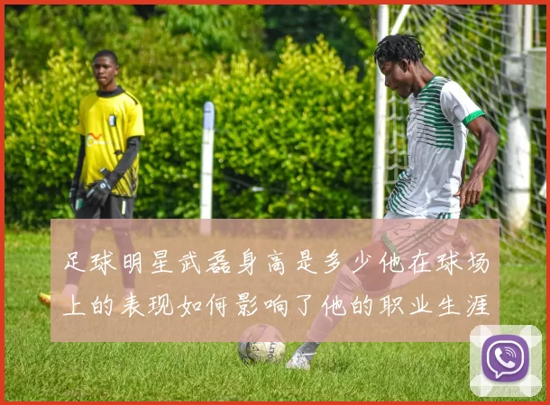 足球明星武磊身高是多少他在球场上的表现如何影响了他的职业生涯