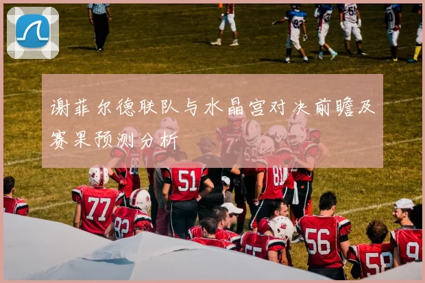 谢菲尔德联队与水晶宫对决前瞻及赛果预测分析