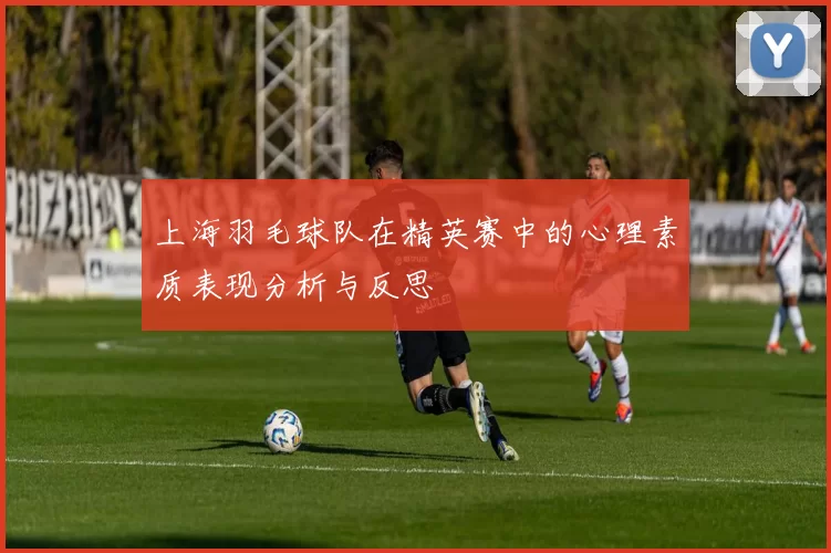 上海羽毛球队在精英赛中的心理素质表现分析与反思