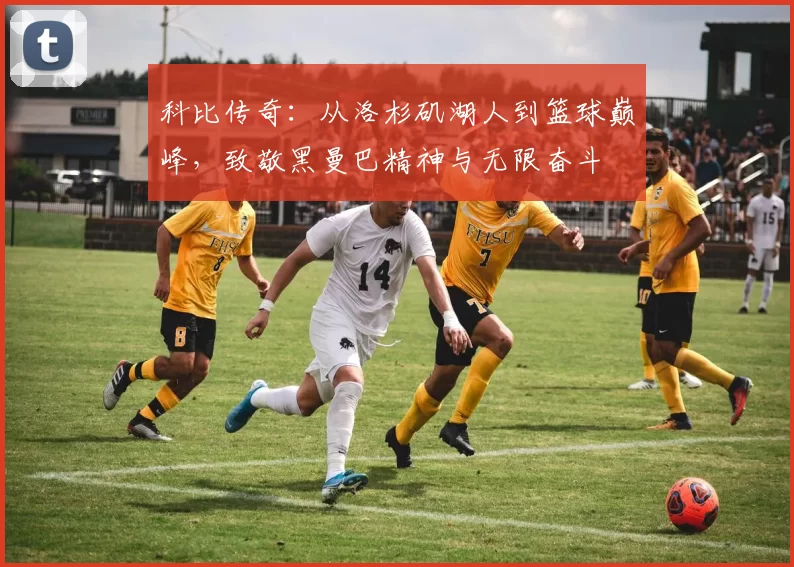 科比传奇：从洛杉矶湖人到篮球巅峰，致敬黑曼巴精神与无限奋斗