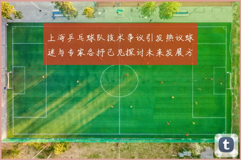 上海乒乓球队技术争议引发热议球迷与专家各抒己见探讨未来发展方向