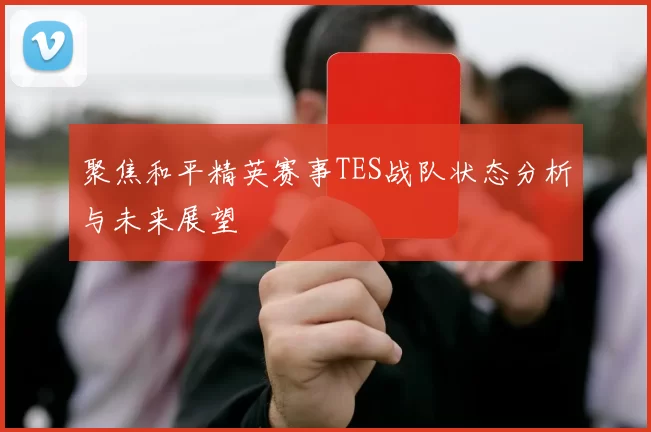 聚焦和平精英赛事TES战队状态分析与未来展望