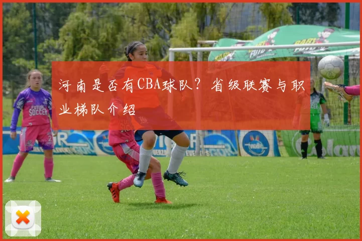河南是否有CBA球队？省级联赛与职业梯队介绍