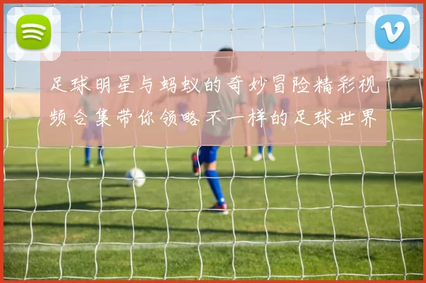 足球明星与蚂蚁的奇妙冒险精彩视频合集带你领略不一样的足球世界
