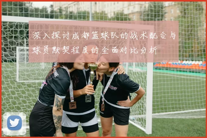 深入探讨成都篮球队的战术配合与球员默契程度的全面对比分析