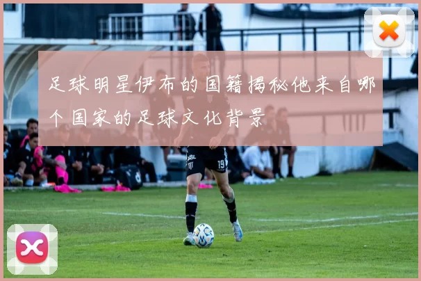 足球明星伊布的国籍揭秘他来自哪个国家的足球文化背景