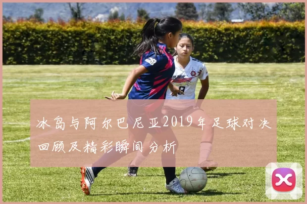 冰岛与阿尔巴尼亚2019年足球对决回顾及精彩瞬间分析