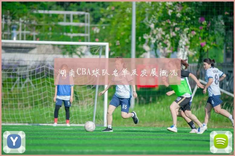 湖南CBA球队名单及发展概况