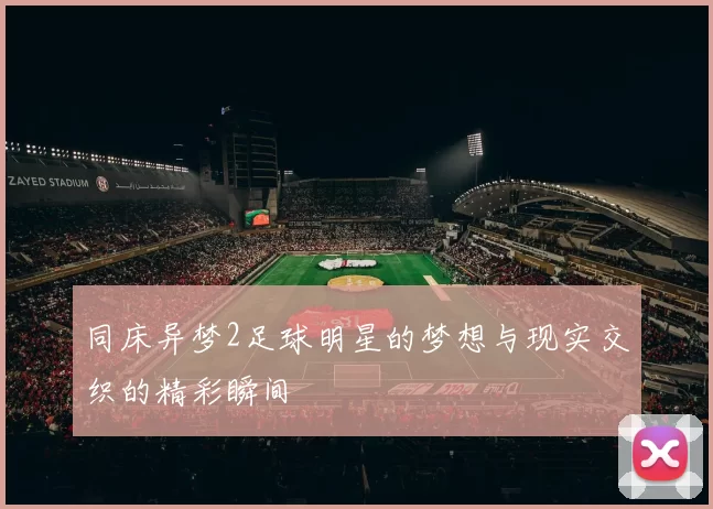 同床异梦2足球明星的梦想与现实交织的精彩瞬间