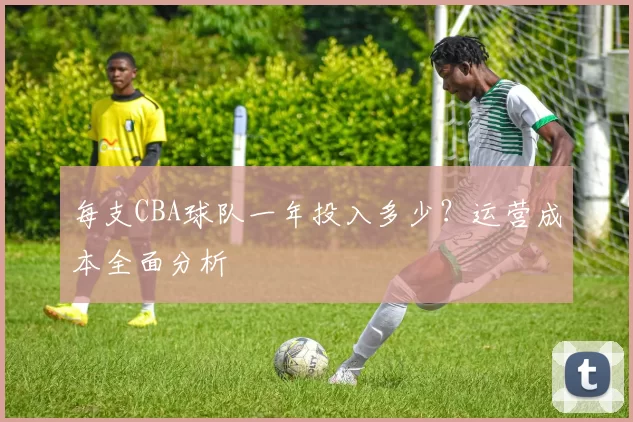 每支CBA球队一年投入多少？运营成本全面分析