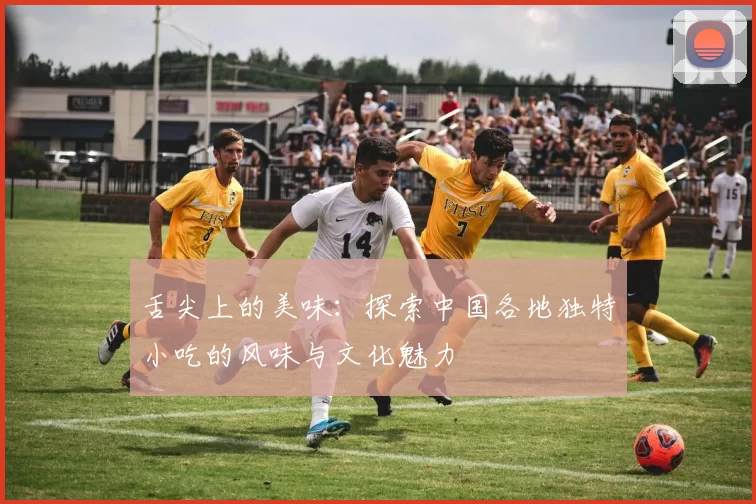 舌尖上的美味：探索中国各地独特小吃的风味与文化魅力