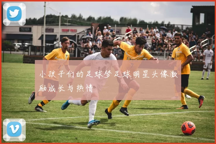 小孩子们的足球梦足球明星头像激励成长与热情