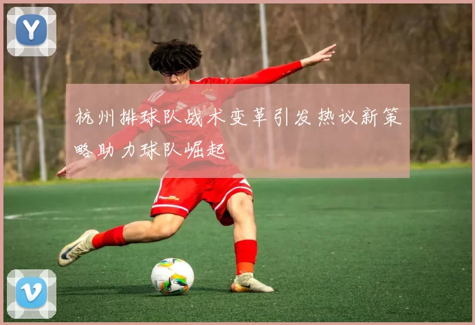 杭州排球队战术变革引发热议新策略助力球队崛起