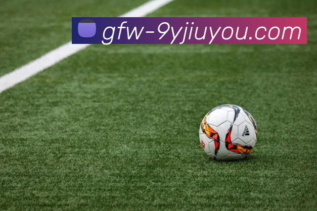 九游体育APP 封面图